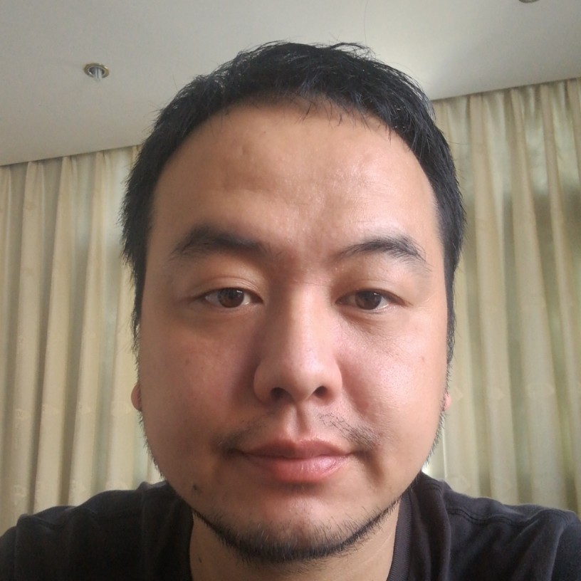 自由蹁跹未来的照片