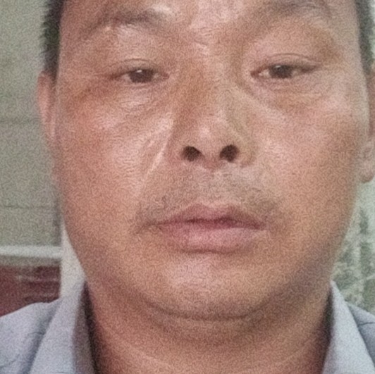 杨桂林的照片