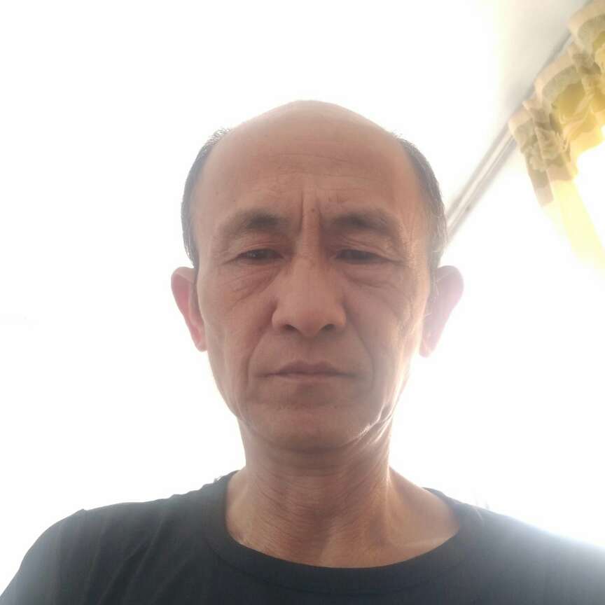 衬衫典雅443的照片