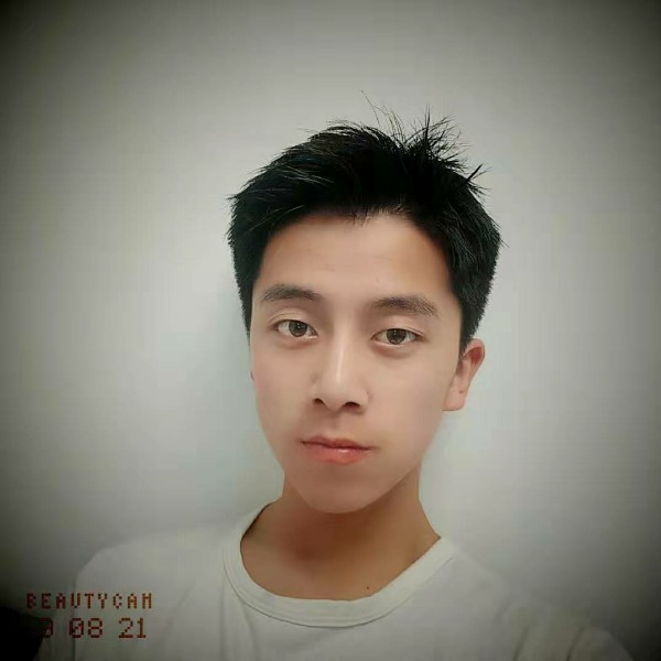 南方有乔木兮的照片