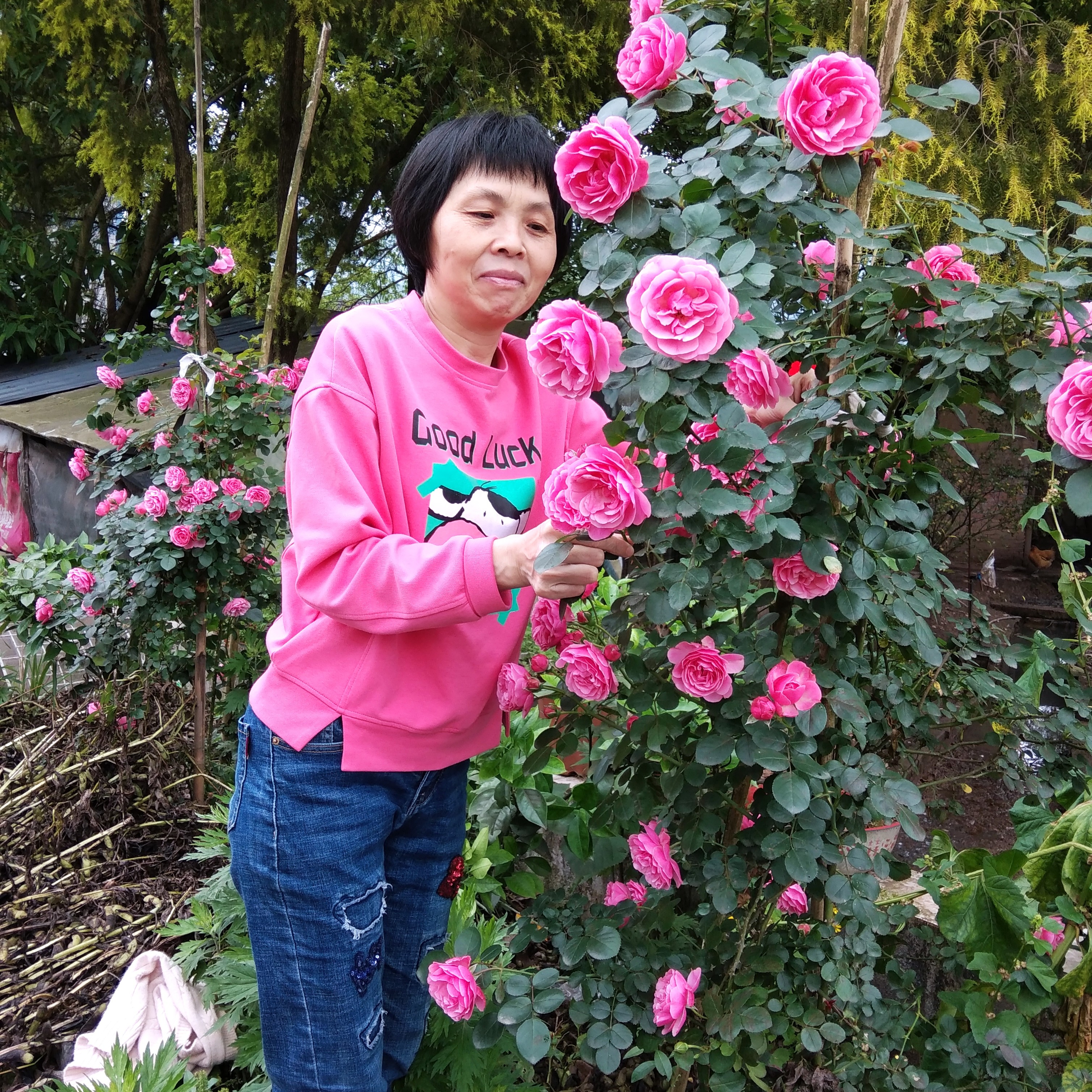 会员327690975的照片