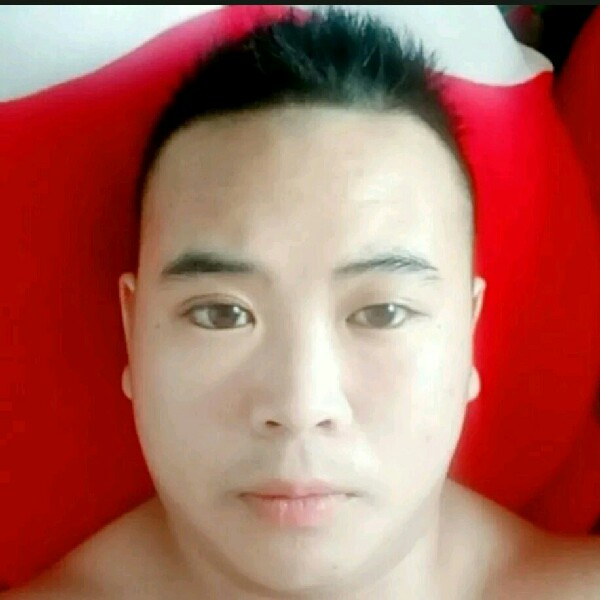 大雁泪了风中的照片