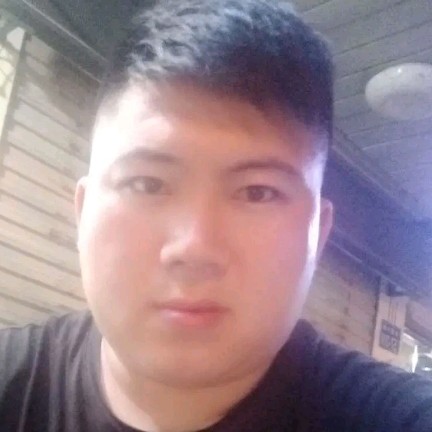 会走路的鸭子的照片