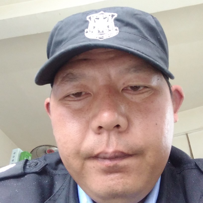 听话用豌豆的照片