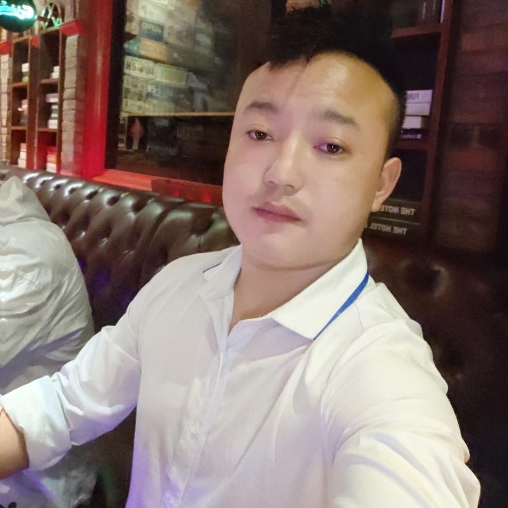 无头的苍蝇。的照片