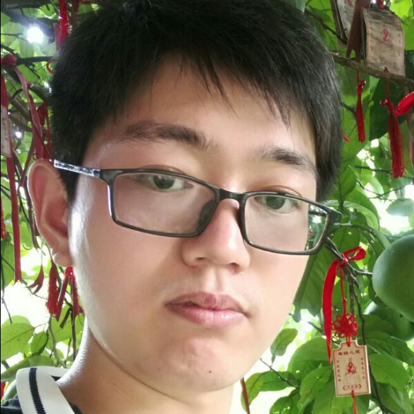 狂野小蚂蚁的照片