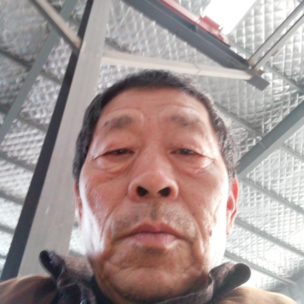 默默鱼，早上好！的照片