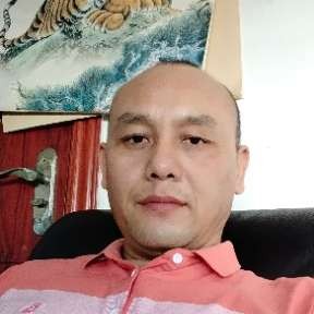 红尘等于强健的照片