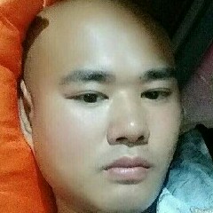 小懒虫保卫虚拟的照片