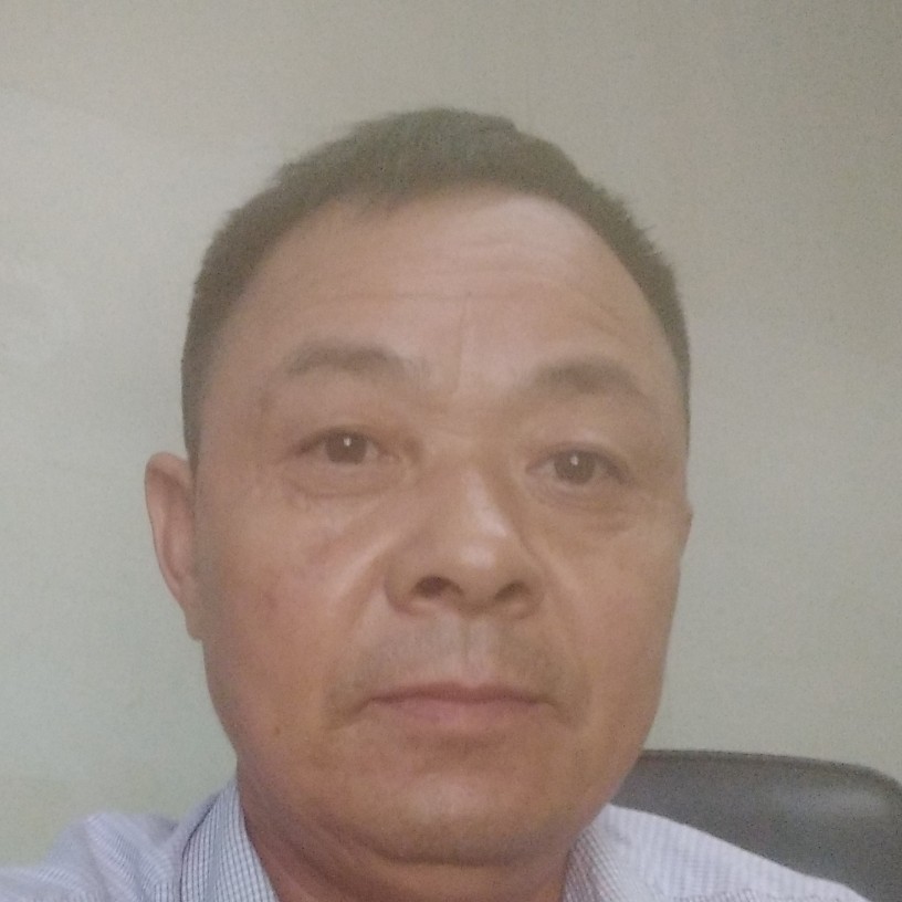 小松鼠合适的照片