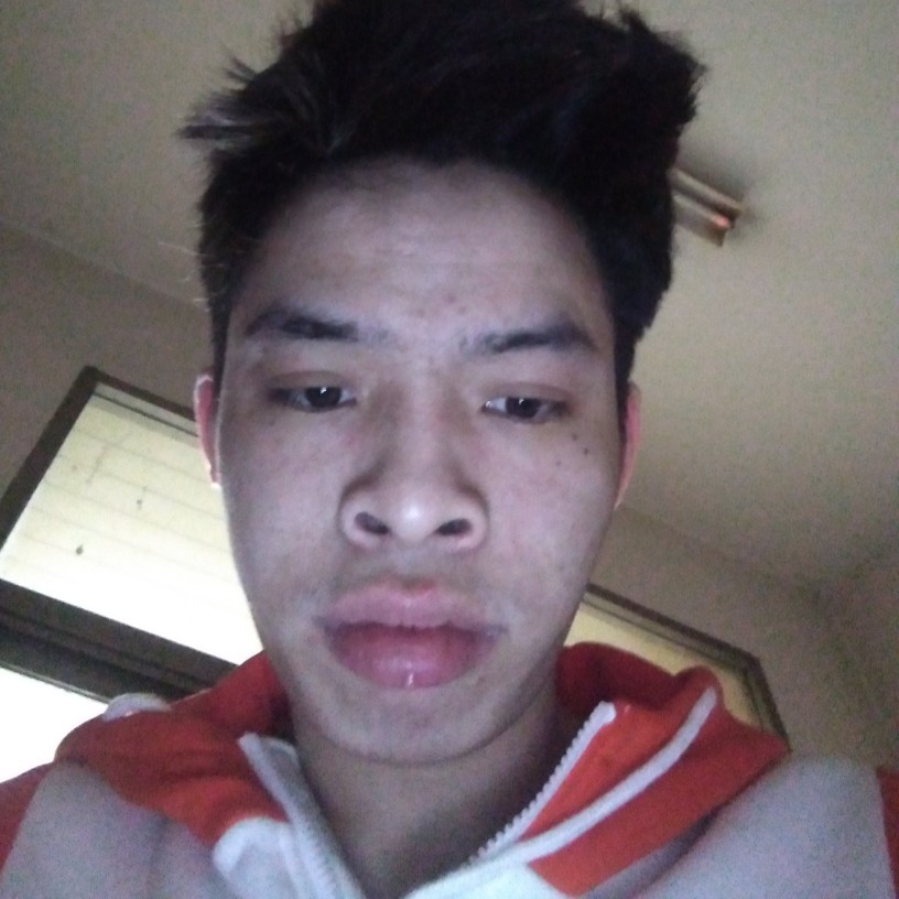 砖头爱恋美满的照片