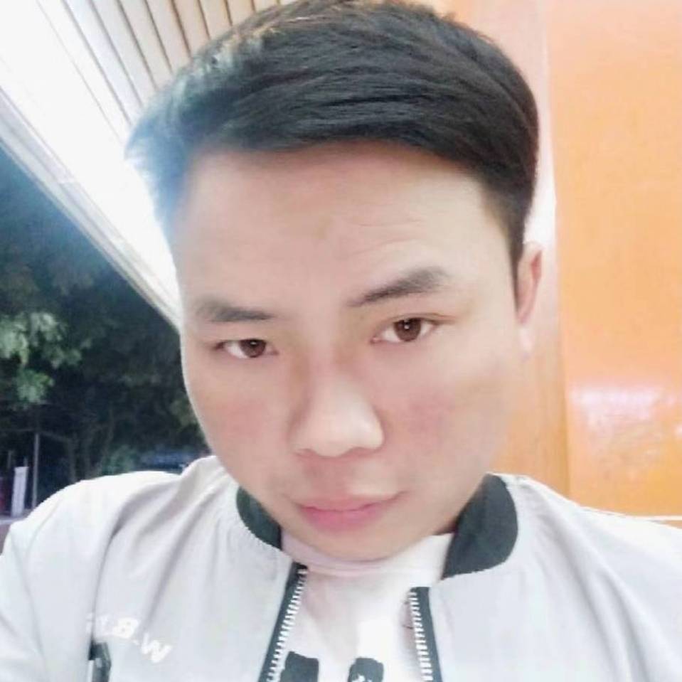 安静的星星的照片