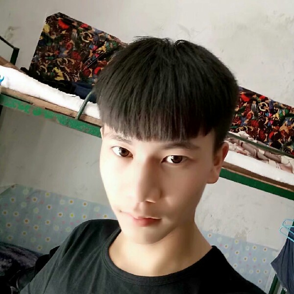 宁波的加的照片