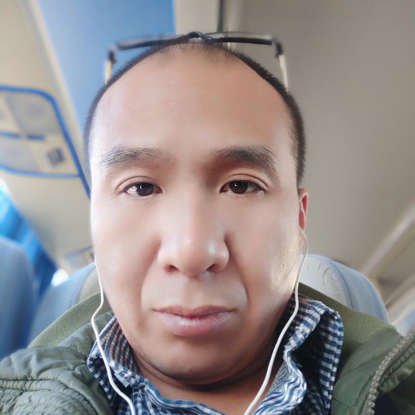 不安灰狼的照片