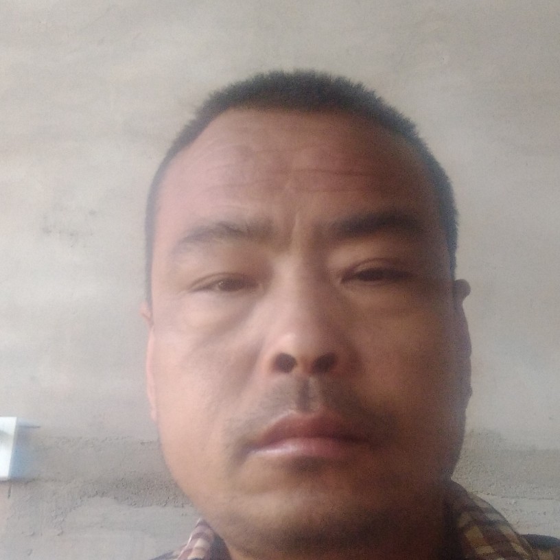 我辈独行的照片
