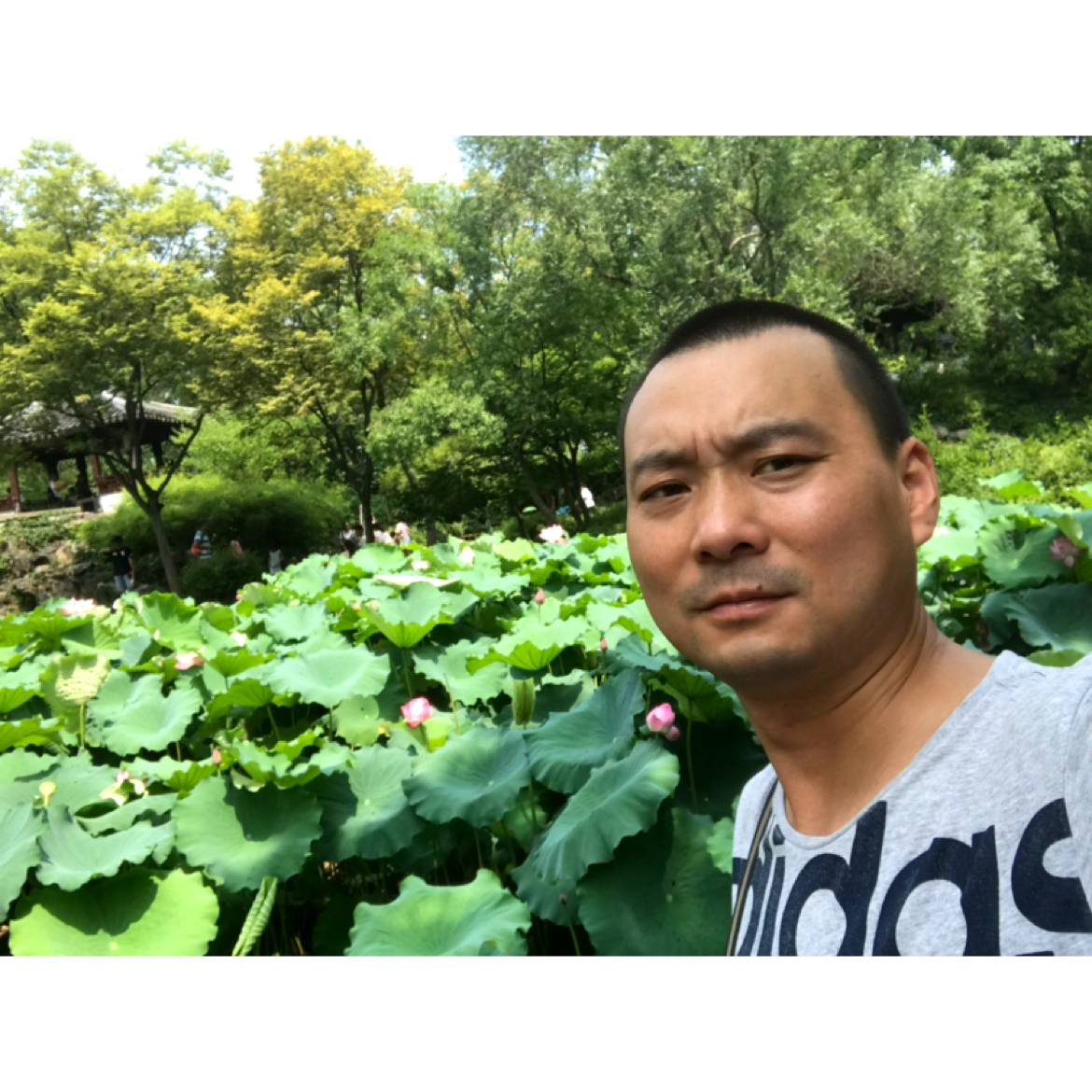向日葵等于愤怒的照片