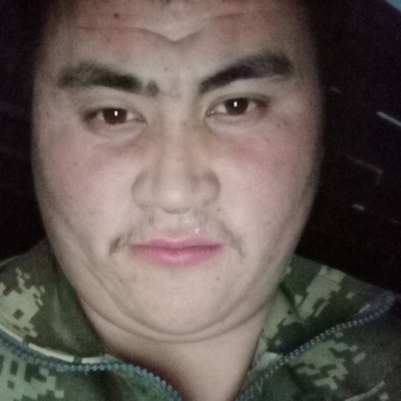 张善武的照片