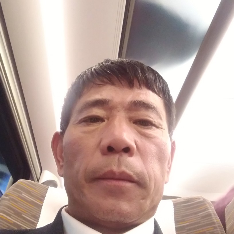 仙月湖布林李子的照片