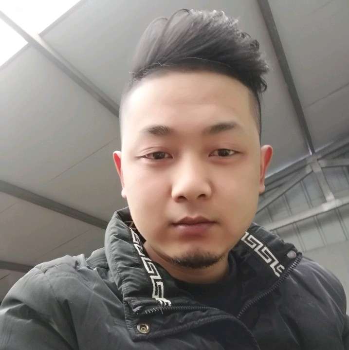 毛豆倾心舒适的照片