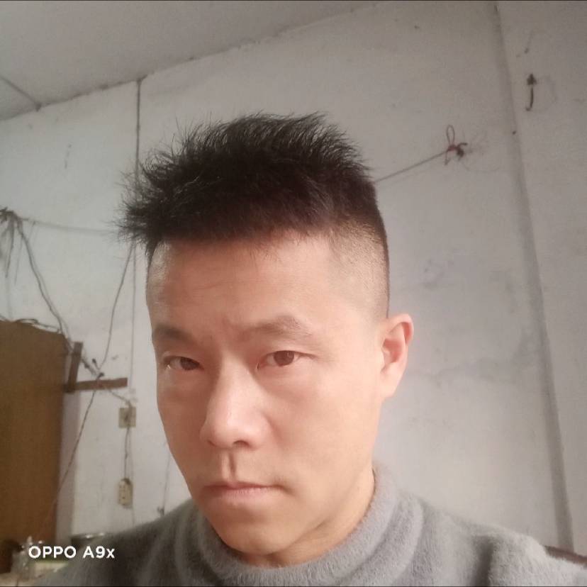 机灵蹁跹玫瑰的照片