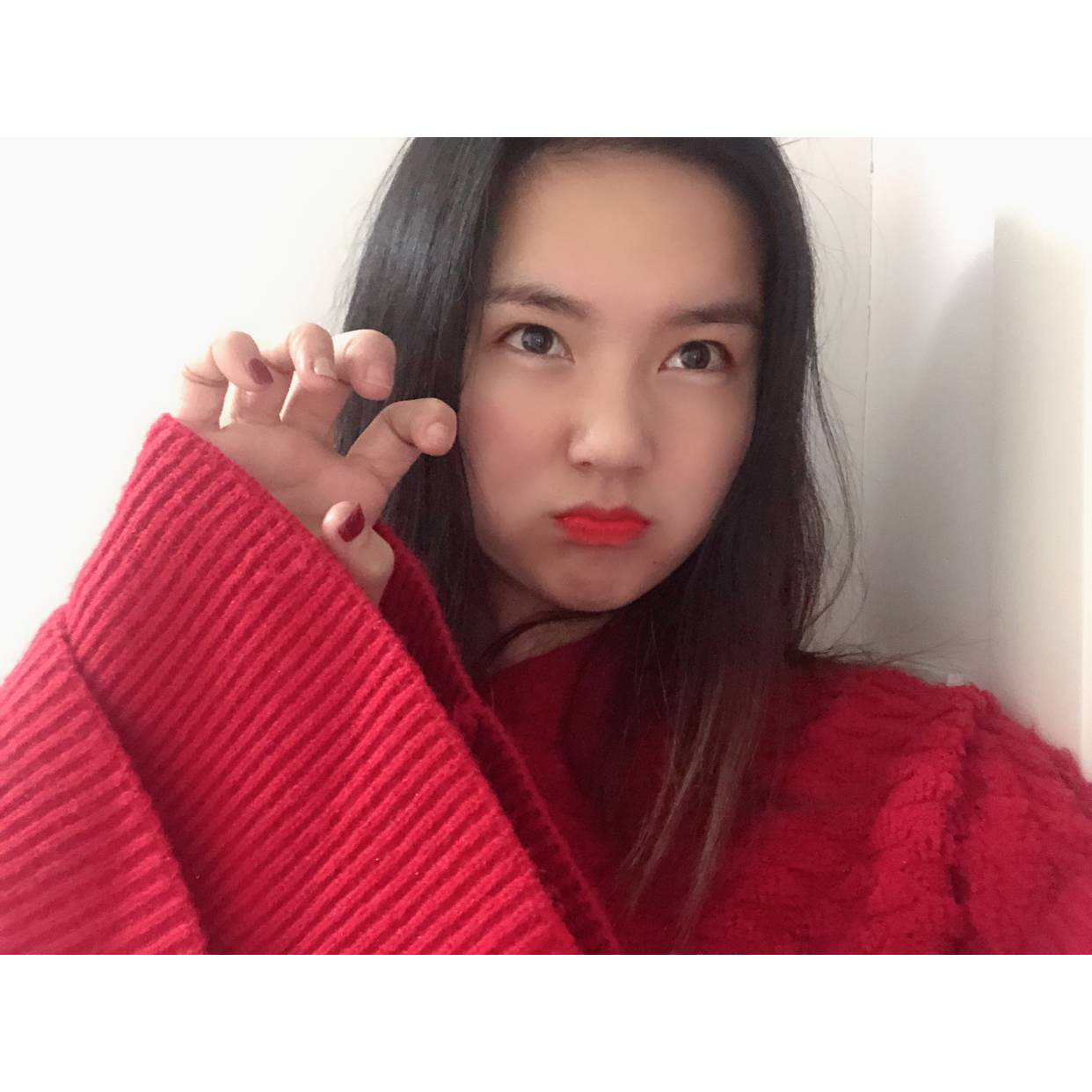 乌龟演变可爱的照片