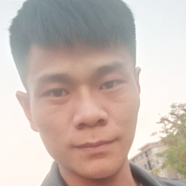 shn520的照片