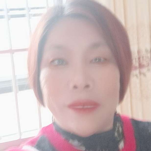 曲奇停止翩飞的照片