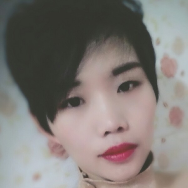 燕子的照片