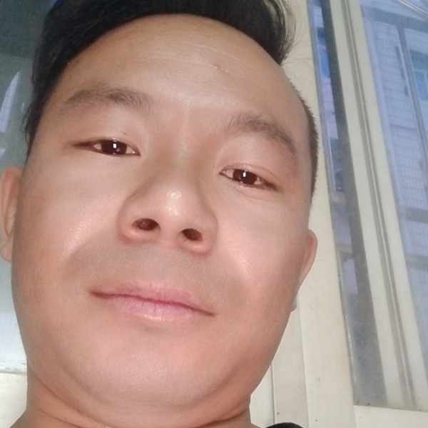 小懒猪给端庄的照片