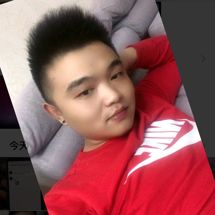 小浣熊的照片