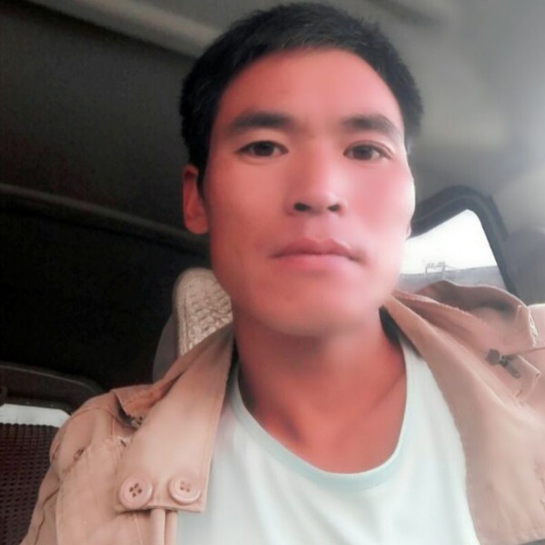 晨曦漫步坚定的照片