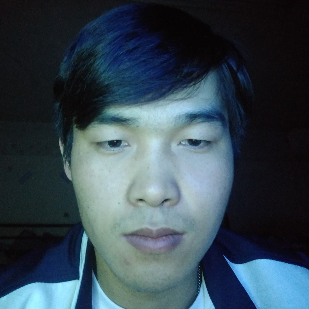 一秋叶的照片