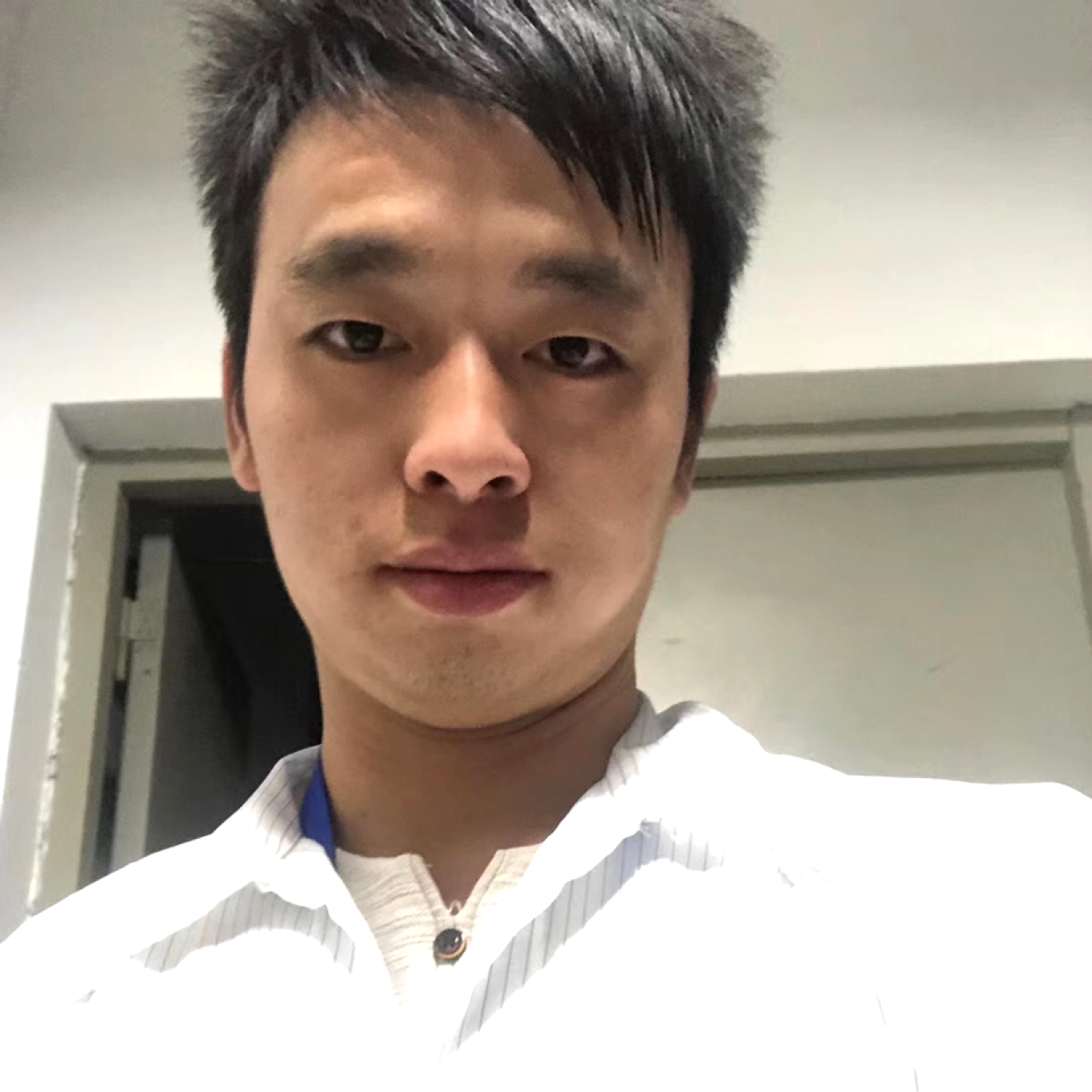 干净挽手芝麻的照片
