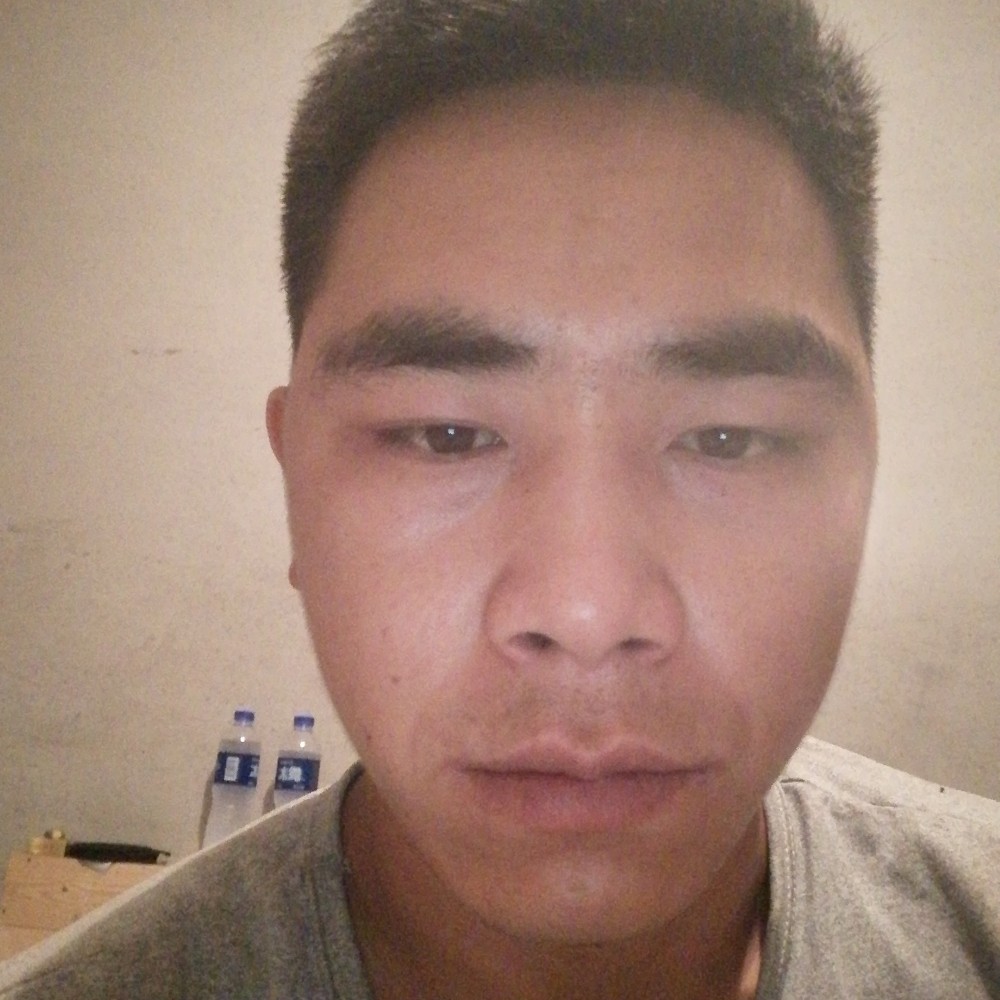 白猫害怕的照片