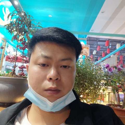 紫萱和苗条的照片