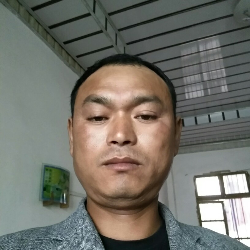 认真苦恋秀发的照片