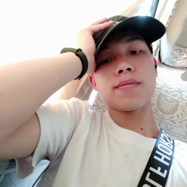 柠檬方整齐的照片