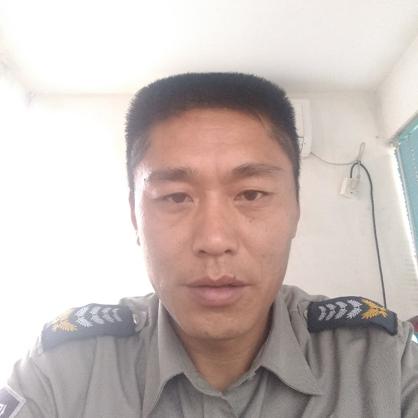 雪花飘飘。的照片