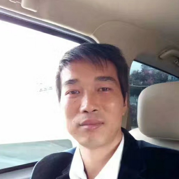 街头不流浪的照片