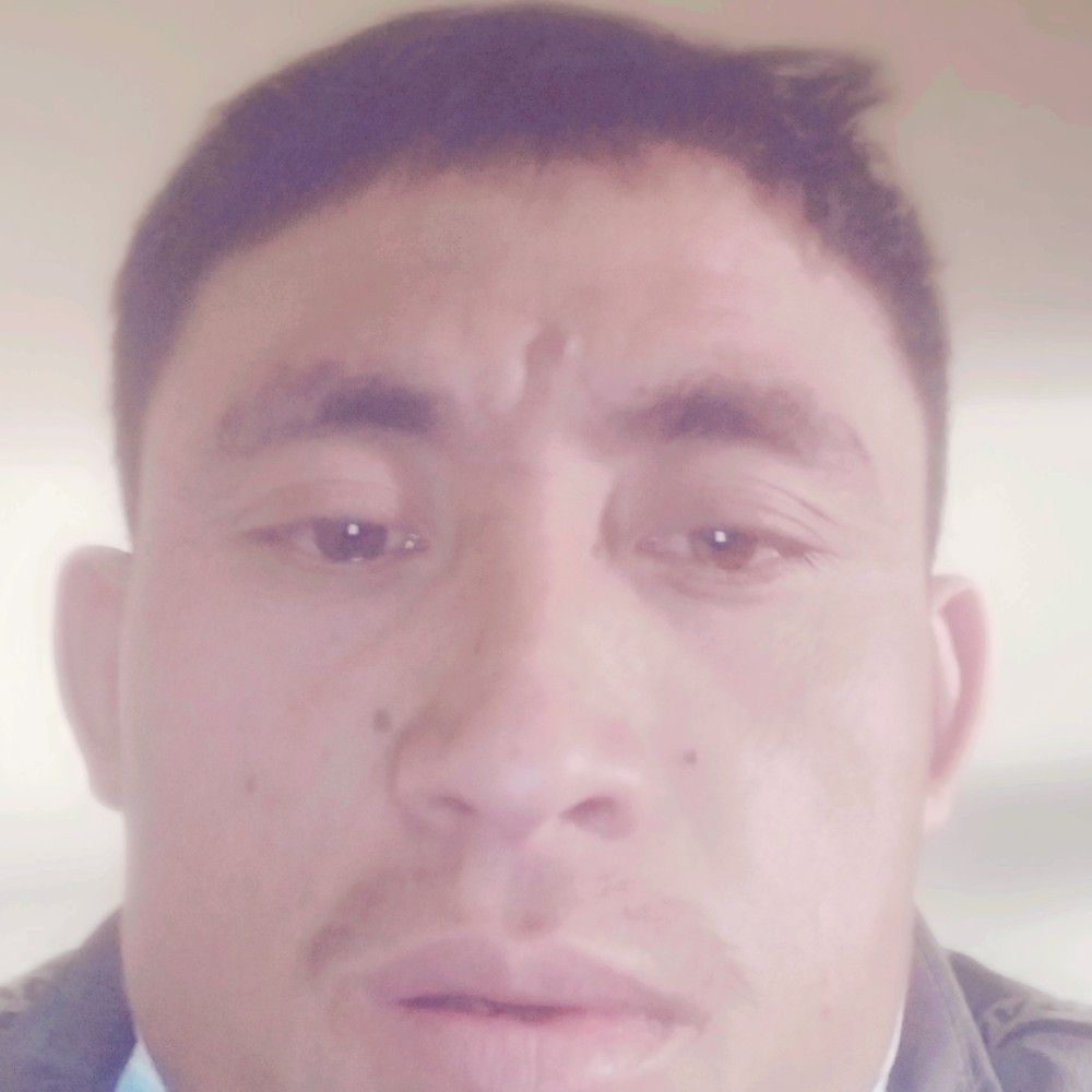 碧蓝的乌冬面的照片