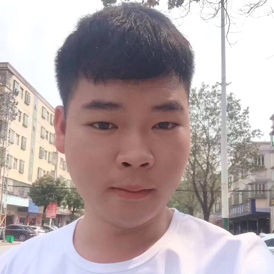 尘宵与流年的的照片