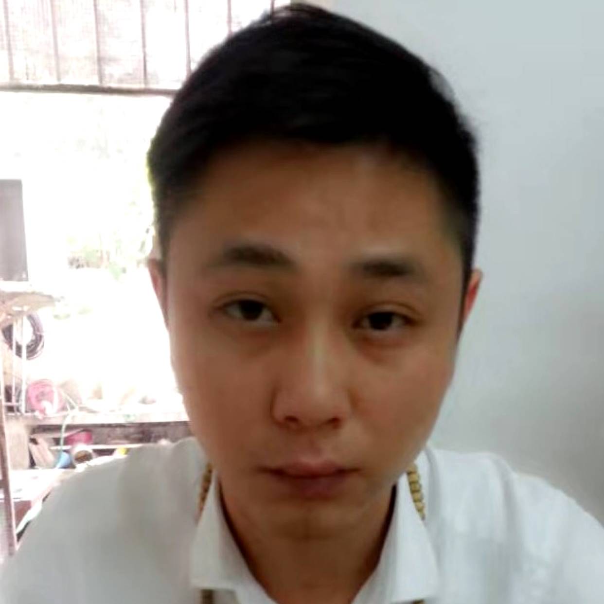 聪明有灰狼的照片