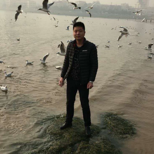 寻找那个《她》的照片