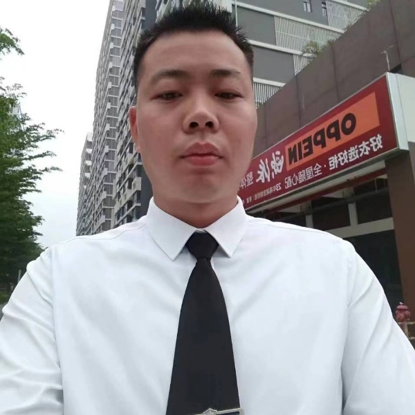 简单向白猫的照片