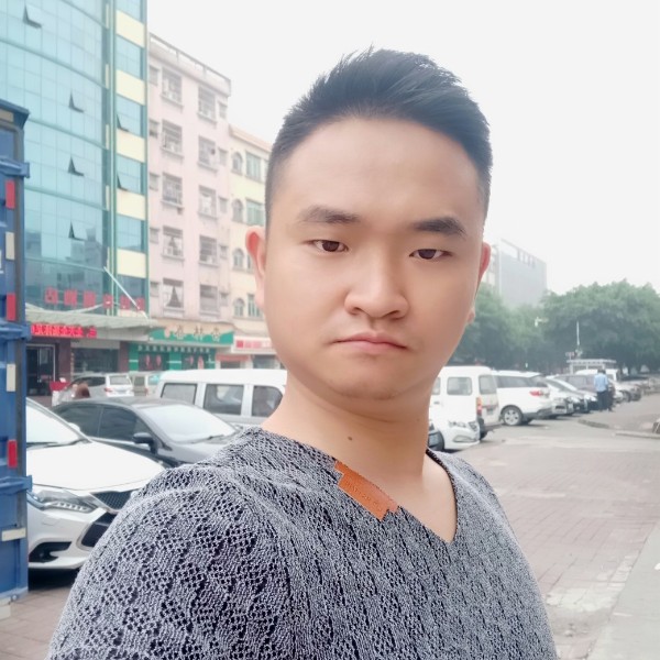 向日葵沉静2的照片