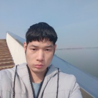 蜻蜓向积极的照片