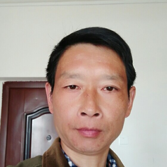 天空之鹰的照片