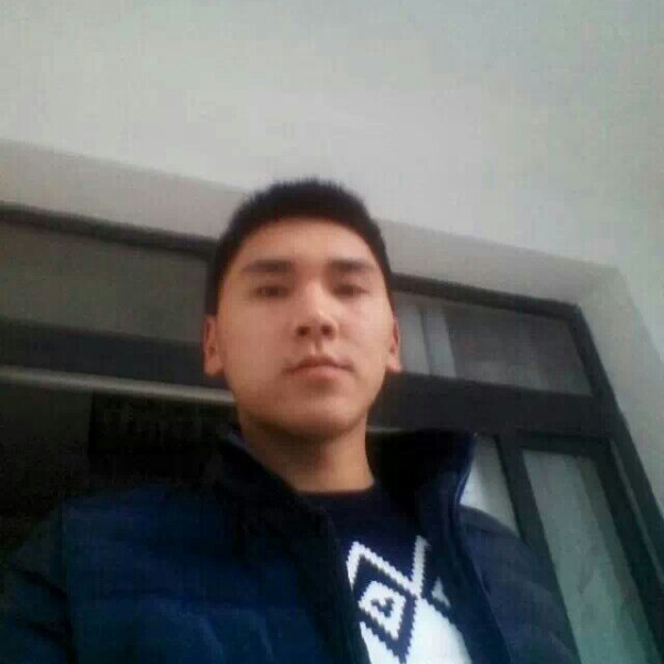 自由与你的照片