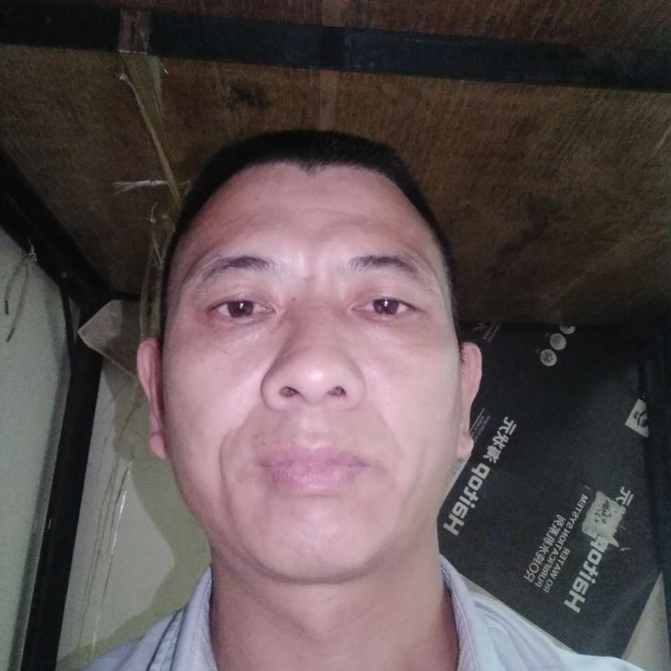 彩色de垂柳的照片
