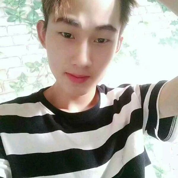 聪慧小蜜蜂的照片